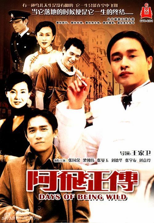 丹麦公用事业账单高仿制作